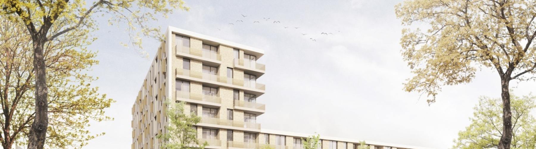 [Translate to English:]